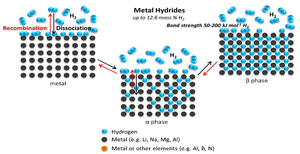 news-958-492 news-958-492